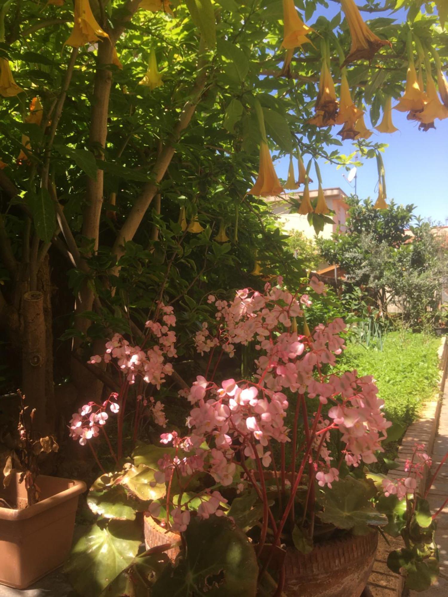 דירות רובי Casa De Aurora מראה חיצוני תמונה