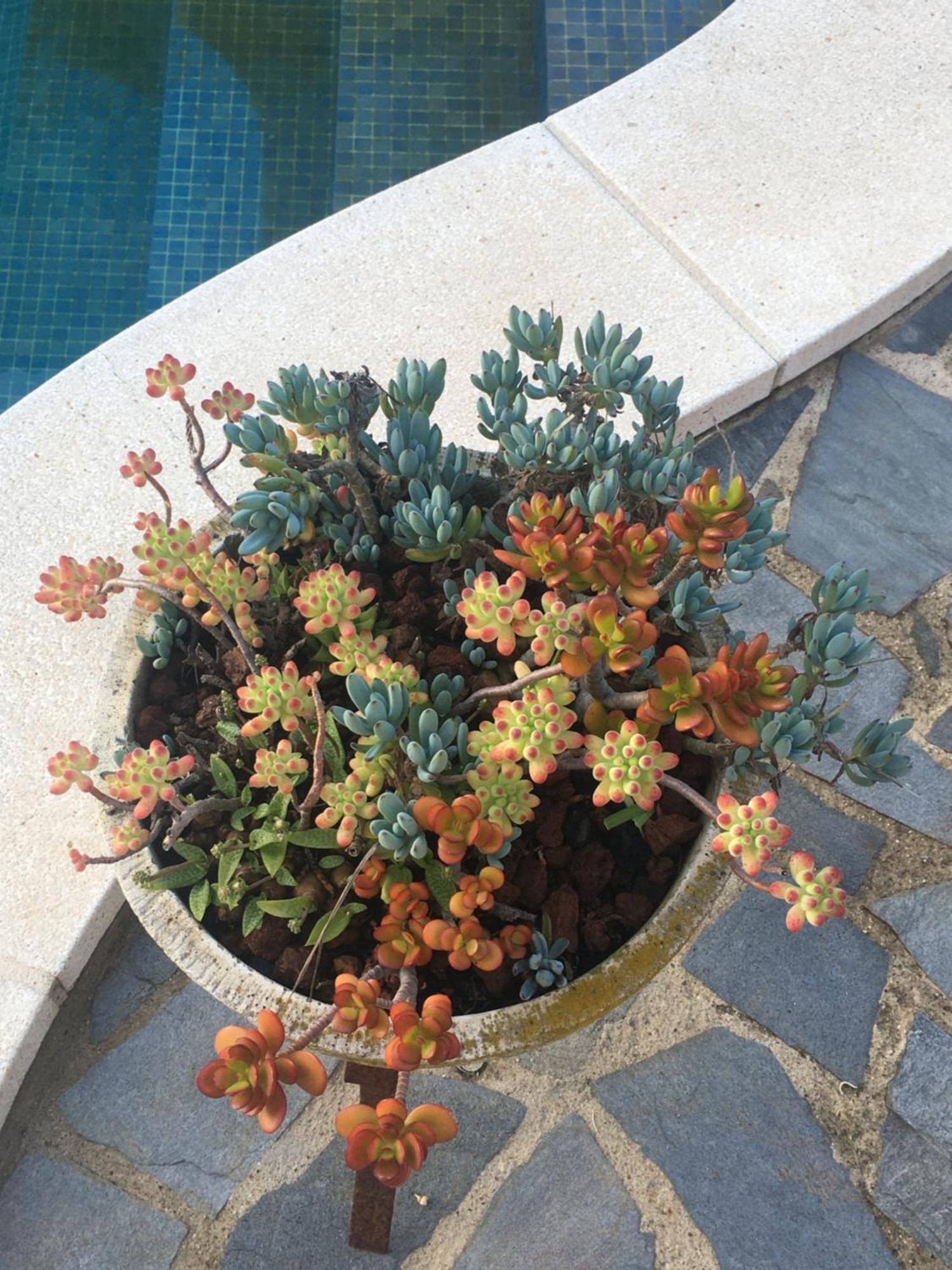 דירות רובי Casa De Aurora מראה חיצוני תמונה